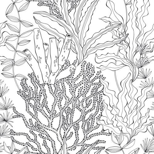 Illustration monochromatic underwater plants on white