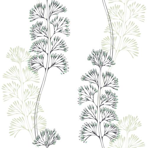 Illustration sea algae, black contours and colored silhouettes on white