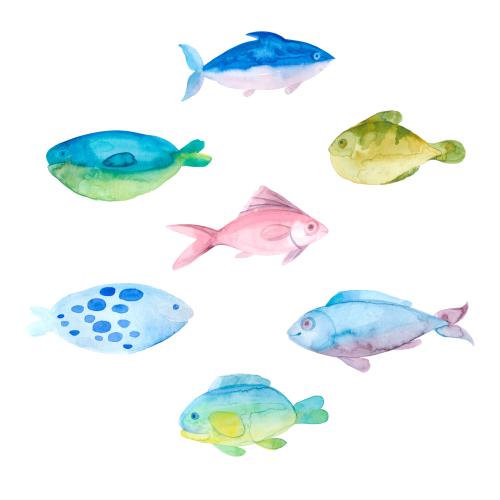 Female. Vector watercolor fish on white