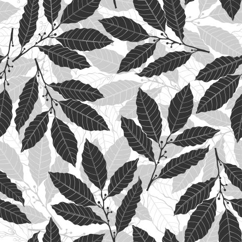 Bay. Vector monochrome laurel branches on white, silhouettes