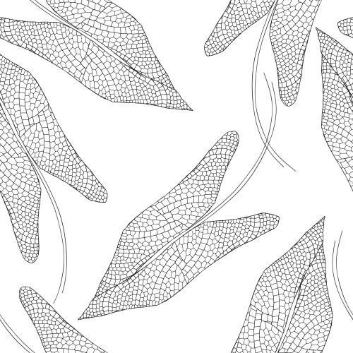 Illustration lace leaves on white
