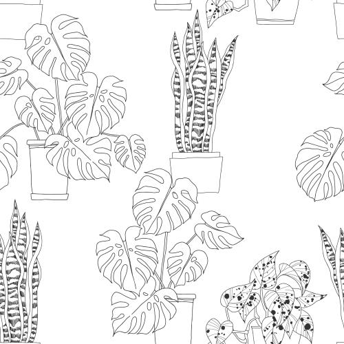 Fern. Vector indoor plants in pots on white
