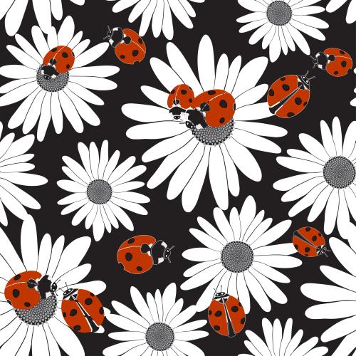 Chamomile. Vector daisies and ladybugs on black