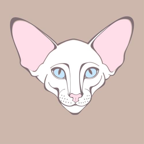 Oriental cat. Vector oriental cat, cute face on a pastel brown