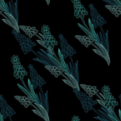 Muscari. Vector muscari colored contours on black