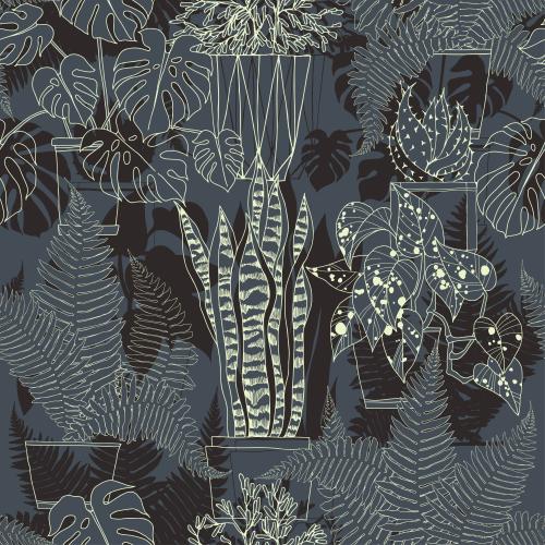 Cactus. Vector indoor plants in dark gray pots