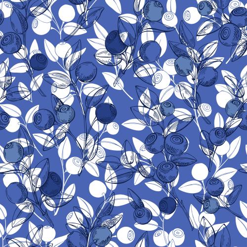 Bilberry. Vector blueberry branches with berries, white silhouettes, colored contours on blue