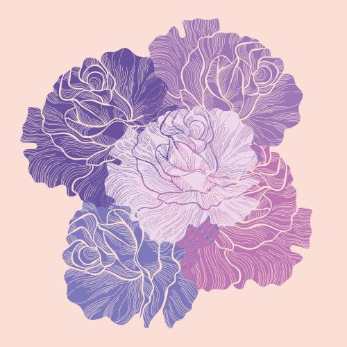 Rose. Vector bouquet of roses with lavender shades on pink