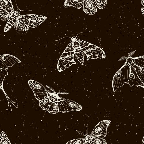 Vector image night butterflies dark polka dot