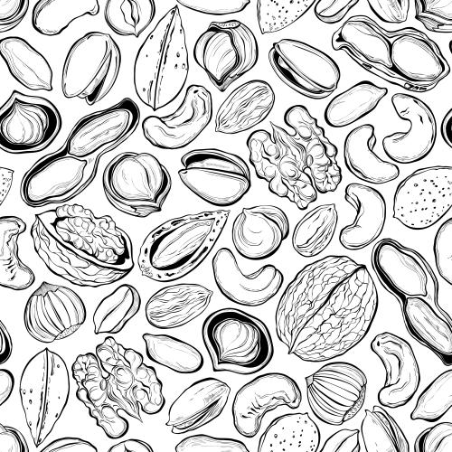 Hazelnut. Vector various nuts on white