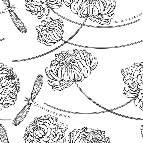 Dragonfly. Vector chrysanthemums and dragonflies on white