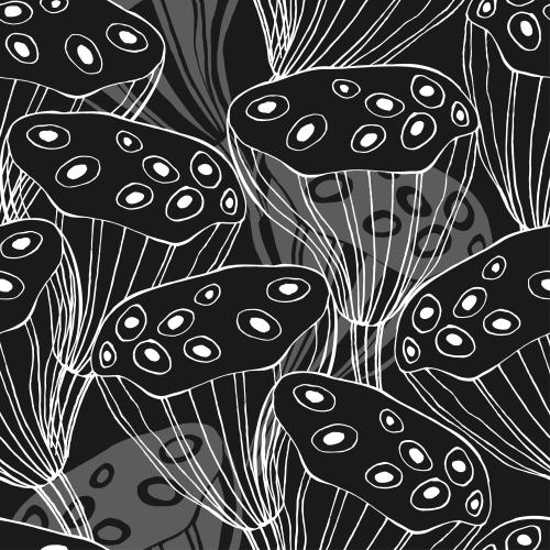 Lotus. Vector lotus boxes, nelumbo, monochrome outlines and silhouettes on black