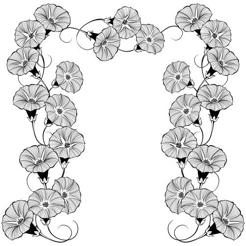 Bindweed. Vector morning glory flower arch with text space on white
