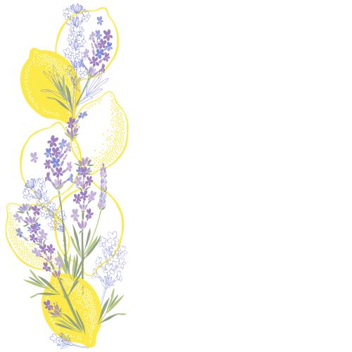 Vector image lavender and lemons, space for text on white