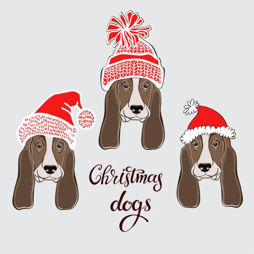Basset hound. Vector three cute basset hound faces in christmas hats