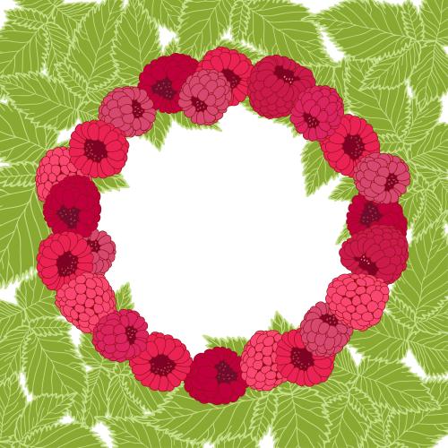 Vector image round frame of raspberries on green leaves