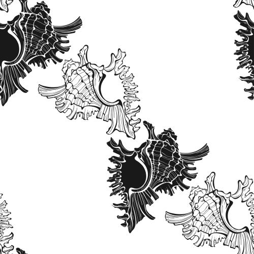 Vector image black silhouettes and contours of shells on white
