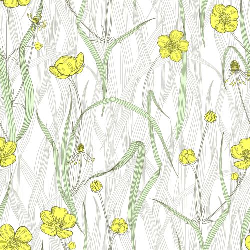 Buttercup. Vector crocus, grass on white