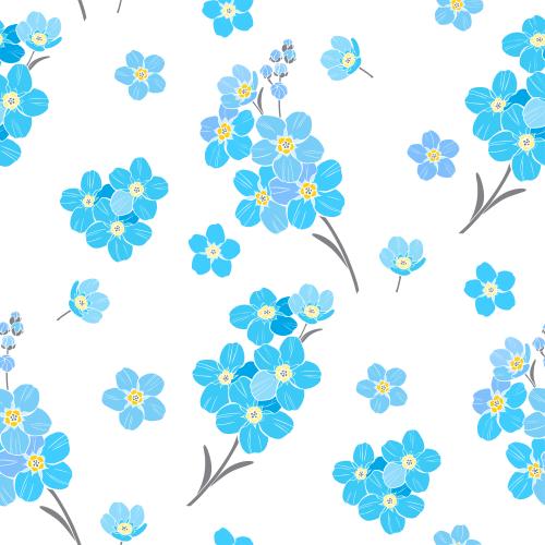 Forget-me-not. Vector forget-me-nots on white