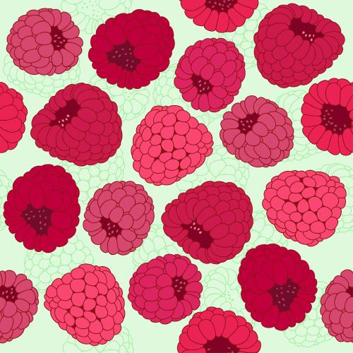 Summer. Vector raspberry berries on a light green background