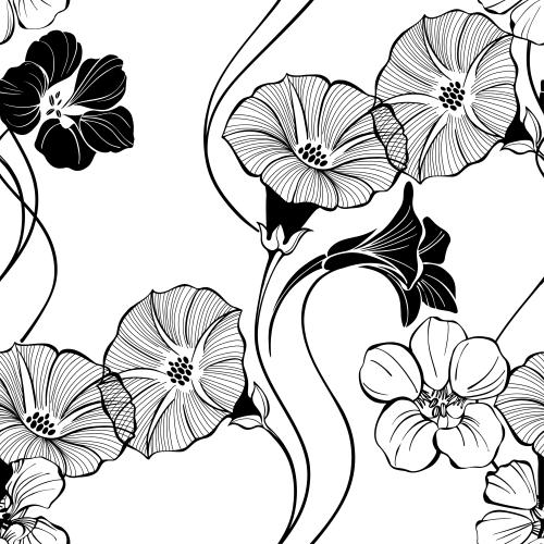 Bindweed. Vector morning glory flowers and nasturtiums on white
