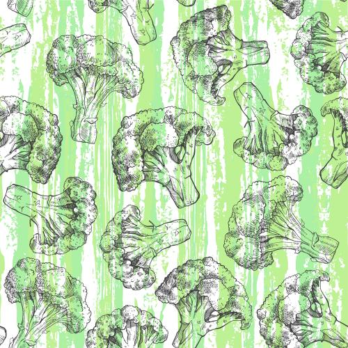 Broccoli. Vector textured green stripes on white