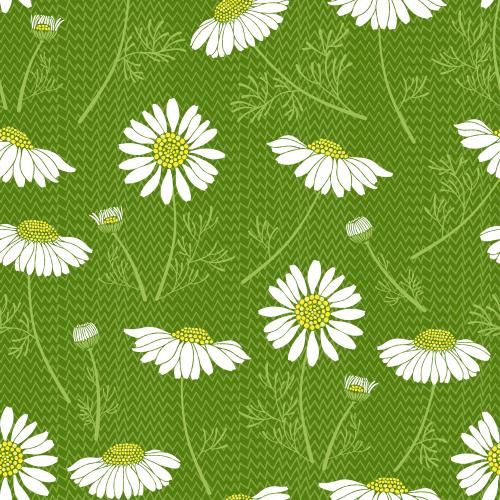 Grass. Vector daisies on green grass