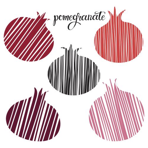 Pomegranate. Vector stylized pomegranates on white, various options