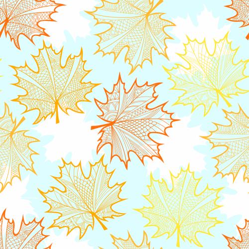 Maple leaf. Vector maple leaves, colored decorative outlines, white silhouettes on blue