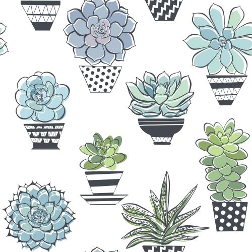 Illustration succulents in pots on white