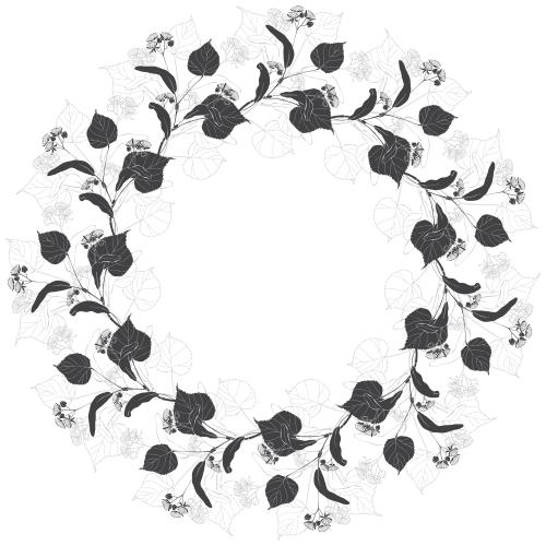 Linden. Vector round frame with flowering linden branches contours and silhouettes on white