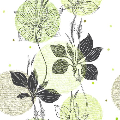 Plantain. Vector plantain, black outlines and silhouettes, colored lace circles on white