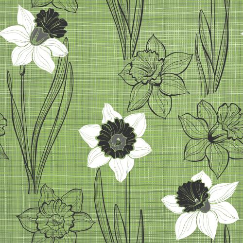 Daffodil. Vector monochrome daffodils on green checkered